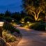 Layered solar lighting across a drought-tolerant garden