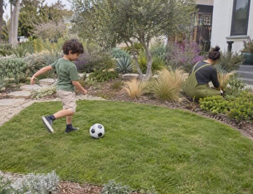 Lawn Alternatives Without Grass: Keep a Play Patch, Convert the Rest
