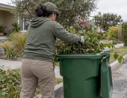 Yard Waste Disposal in Los Angeles: Every Legal Option