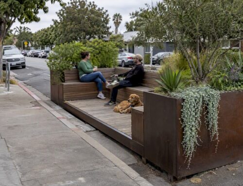 Parklet Design Ideas: 12 Layouts, Plants and Rules