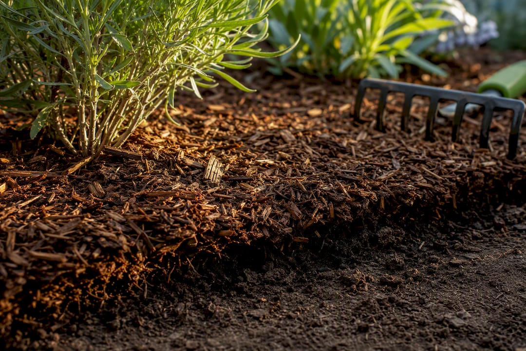 Organic mulch layer covering healthy garden soil
