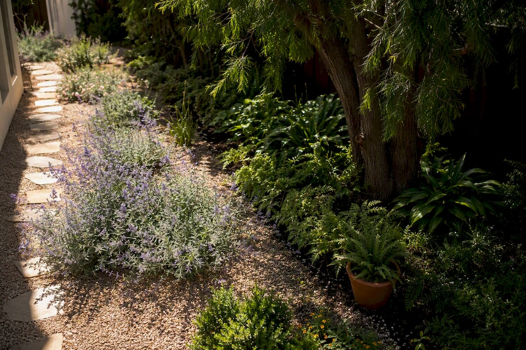 Sun and shade zones across a planted yard