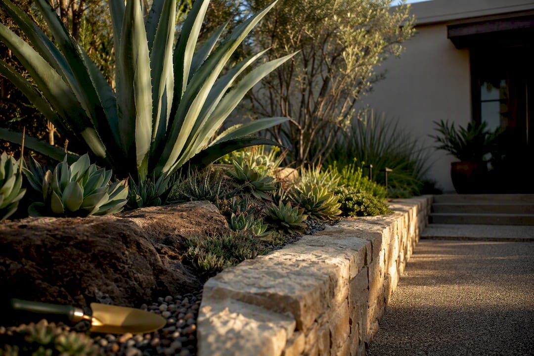 Sculptural succulent garden beside retaining wall