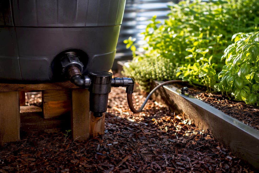 Rain barrel feeding filtered garden drip line