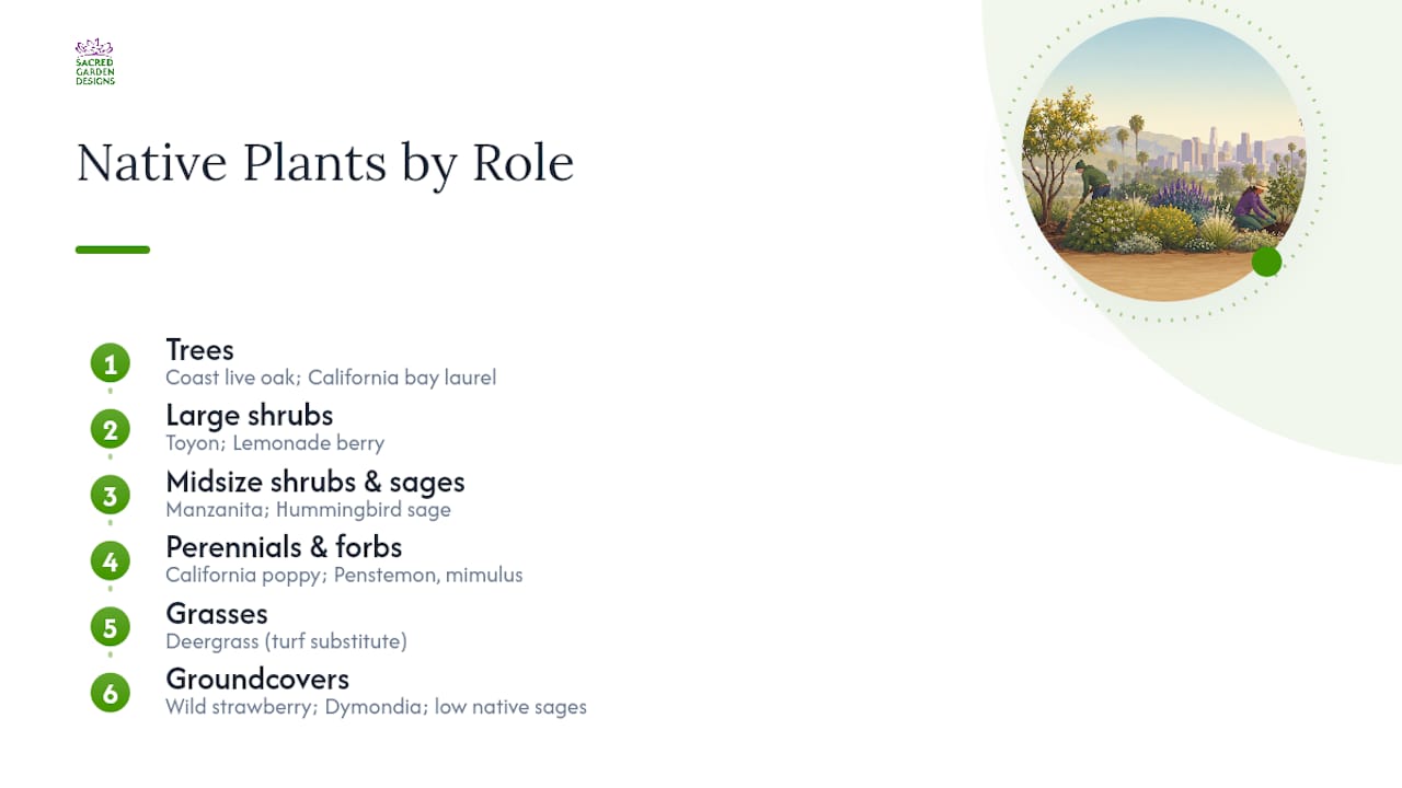Six roles for Los Angeles native plants