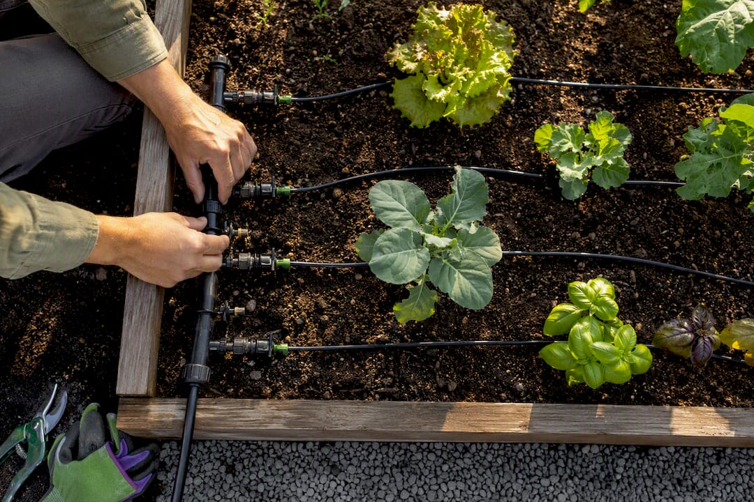 Hands connecting drip irrigation garden zones