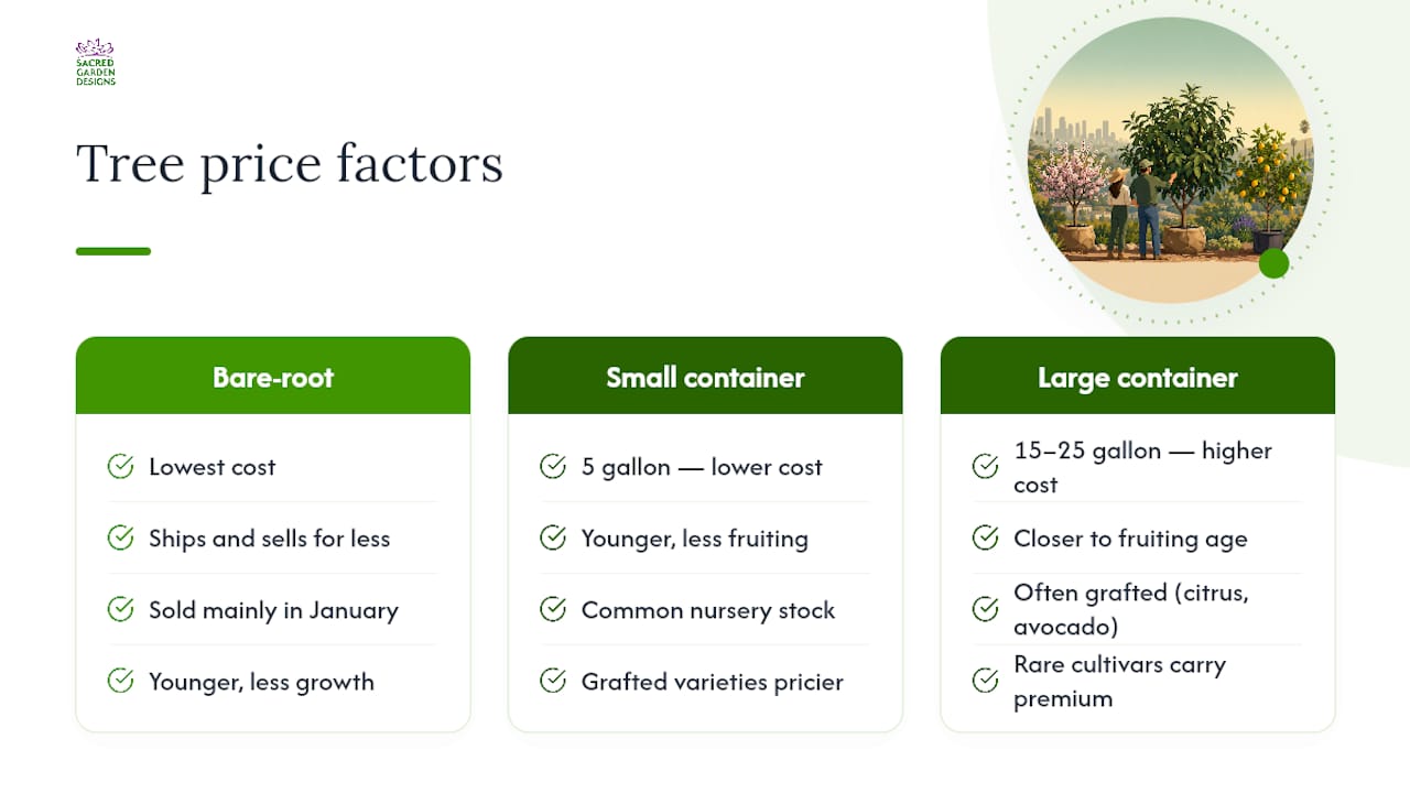 What Does It Cost to Buy a Fruit Tree in Los Angeles? — overview diagram