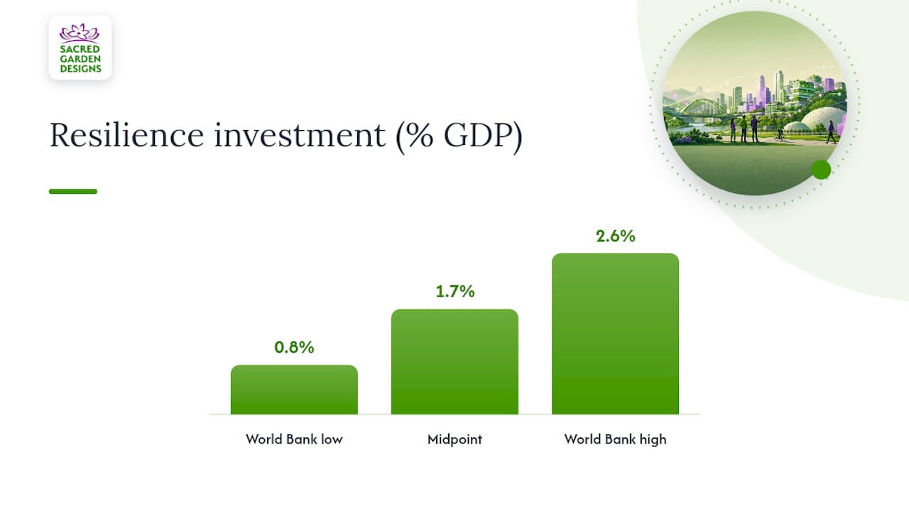 Funding, financing, and efficiency strategies for resilient investment — overview diagram