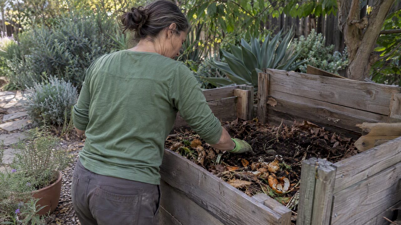 Backyard compost bin in sustainable garden