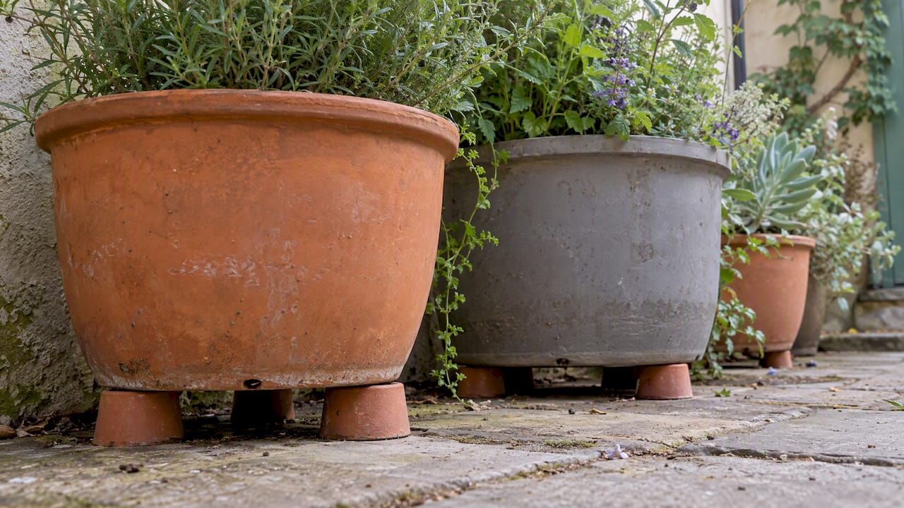 Containers raised above paving on pot feet