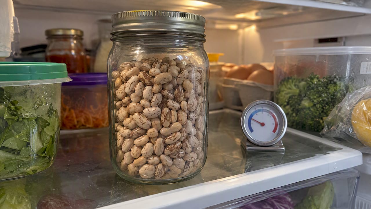 Jar of bean seeds stored in refrigerator
