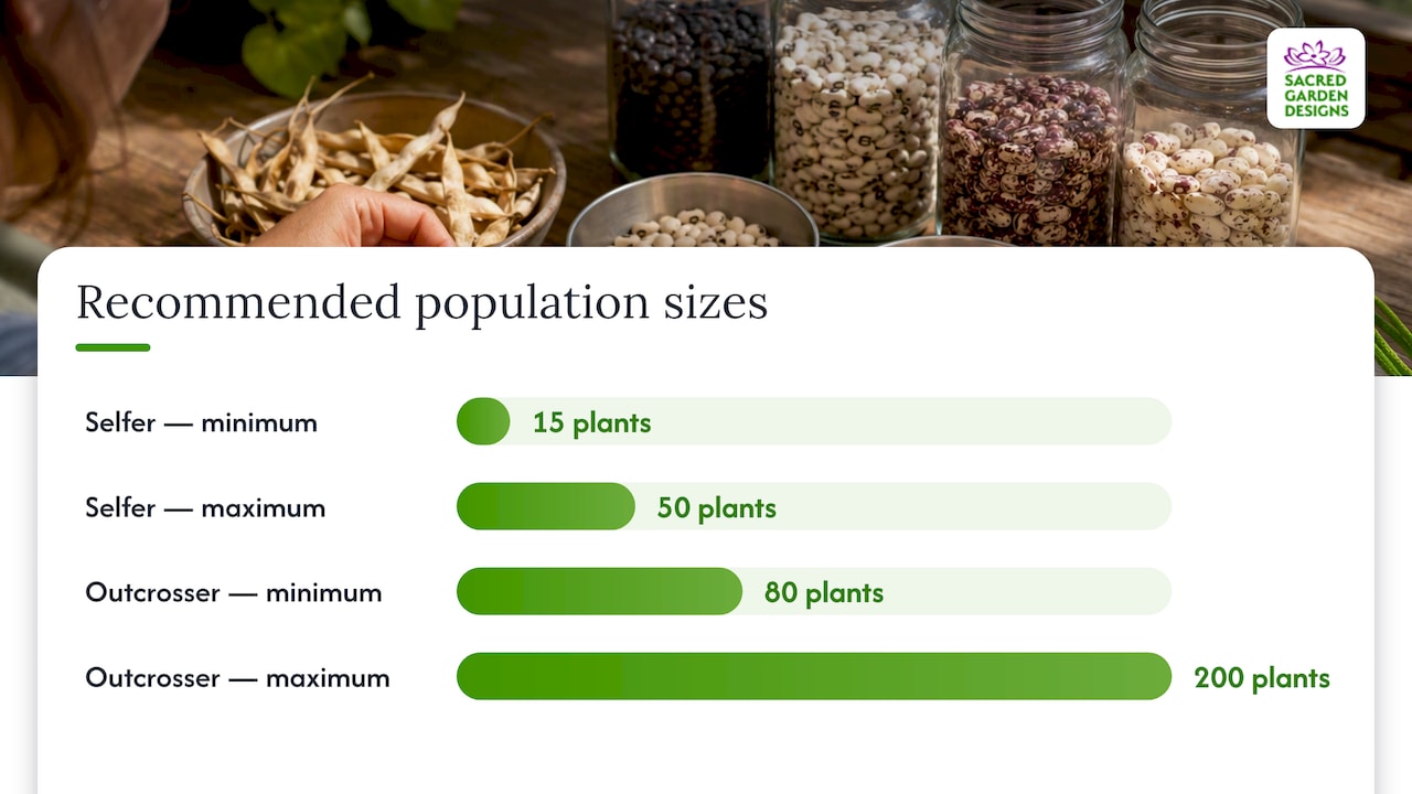 Which plants give you reliable, true-to-type seed? — overview diagram
