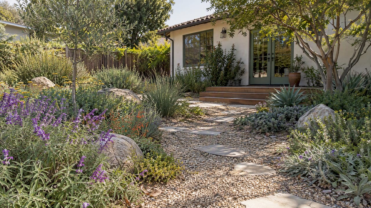 Water-wise Los Angeles backyard with native plants