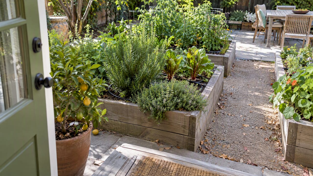 Raised herb beds beside a home patio