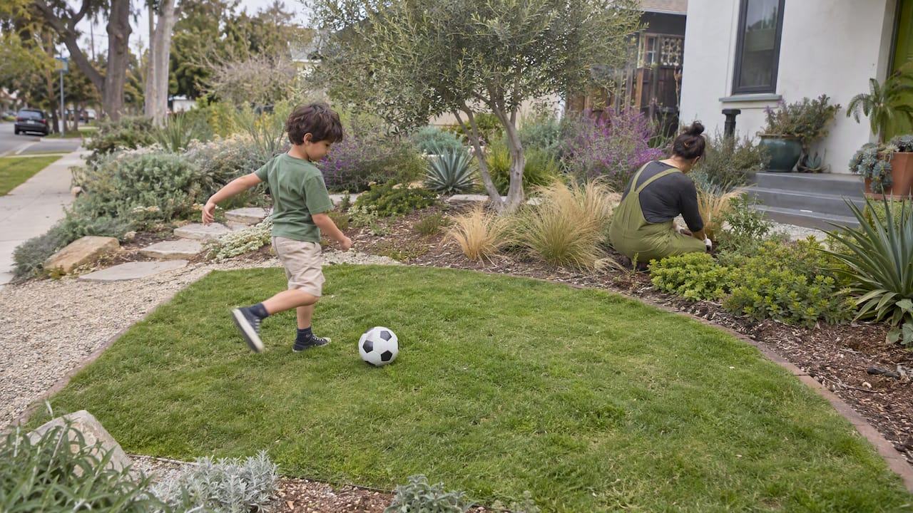 Small turf play patch amid drought-tolerant planting