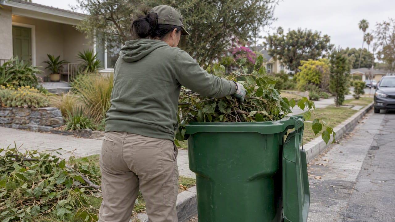Branches placed in a green yard waste cart