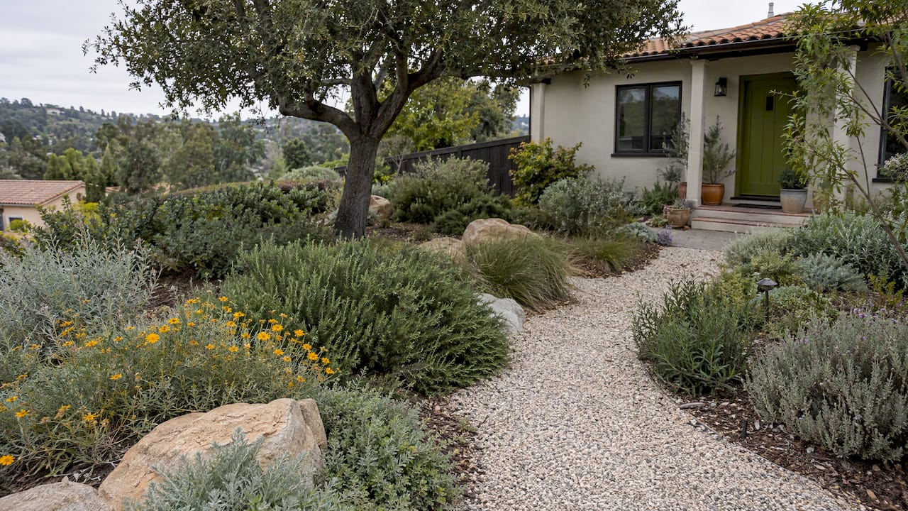 Separated planting islands beside a stone path