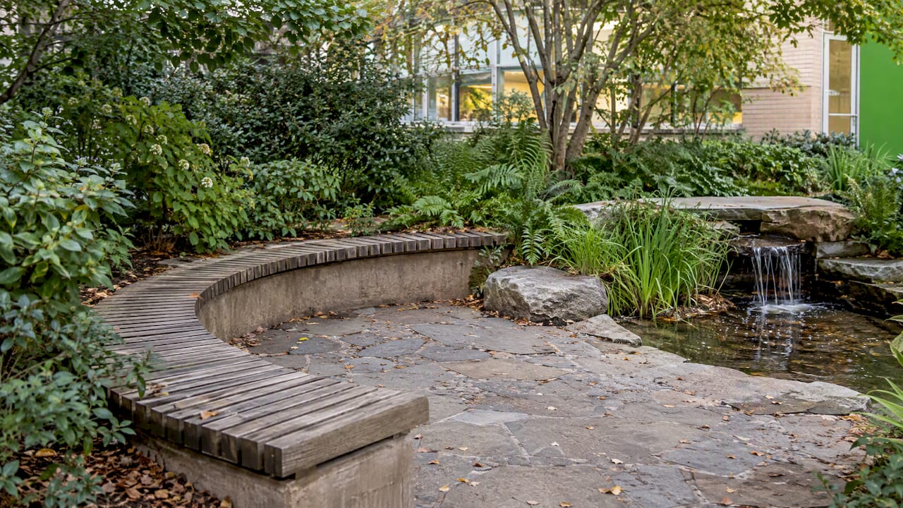 Bench nestled within dense native campus planting