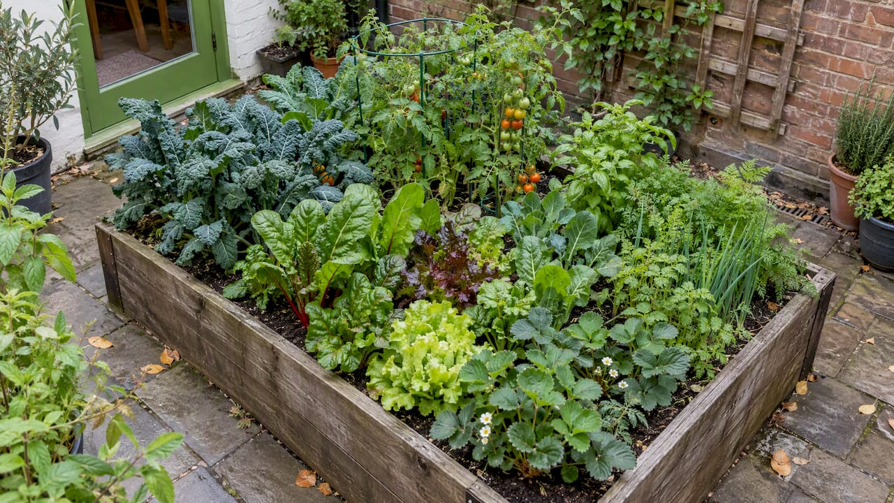Compact raised bed kitchen garden layout